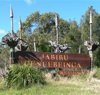 Jabiru Geenbeebeinga Wetlands - Accommodation Nelson Bay