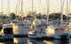 Brisbane Bayside - thumb 0