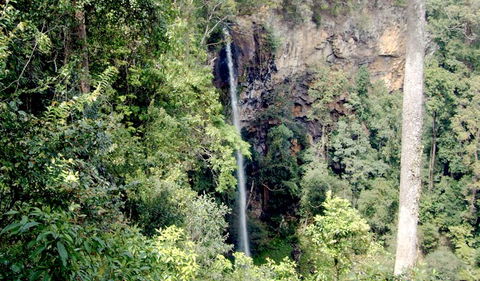 Boorganna Nature Reserve - Accommodation Nelson Bay 2