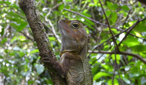 Boorganna Nature Reserve - Accommodation Nelson Bay 3