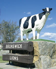 Brunswick Cow - Accommodation Nelson Bay 0