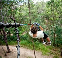 TreeTop Challenge - Accommodation Nelson Bay