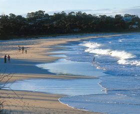 Mollymook Beach - Accommodation Nelson Bay 1