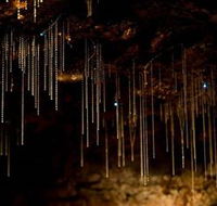 Tamborine Mountain Glow Worm Caves - Accommodation Nelson Bay