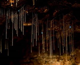 Tamborine Mountain Glow Worm Caves - Accommodation Nelson Bay 0