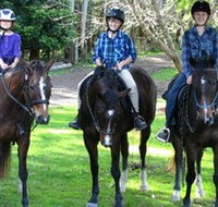 Kings Creek Saddle Club - Accommodation Nelson Bay