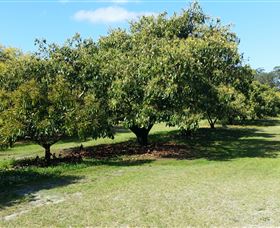 The Avocado Farm - Accommodation Nelson Bay 1