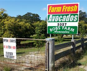 The Avocado Farm - Accommodation Nelson Bay 3