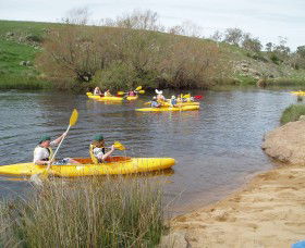 Bombala Platypus Reserve - Accommodation Nelson Bay 1