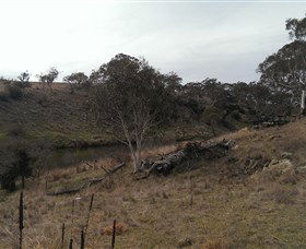 Bombala Platypus Reserve - Accommodation Nelson Bay 3