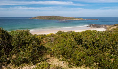 Murramarang Aboriginal Area - Accommodation Nelson Bay 0
