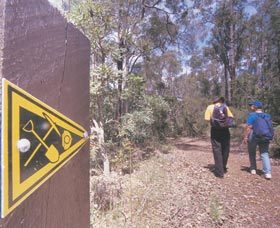 Greenbushes Loop - Accommodation Nelson Bay 1