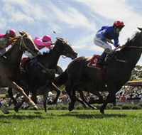 Moruya Racecourse - Accommodation Nelson Bay
