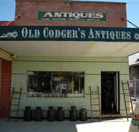 Old Codgers Antiques - Accommodation Nelson Bay