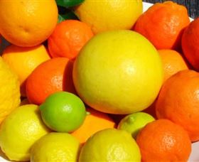 Fruit Salad Tree Company - Accommodation Nelson Bay 2