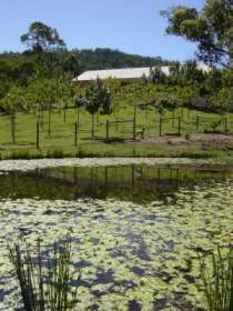 Mount Nathan Winery - Accommodation Nelson Bay 2