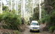 Bindarri National Park - thumb 2