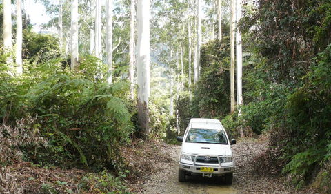 Bindarri National Park - Accommodation Nelson Bay 2