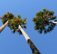Bindarri National Park - Accommodation Nelson Bay