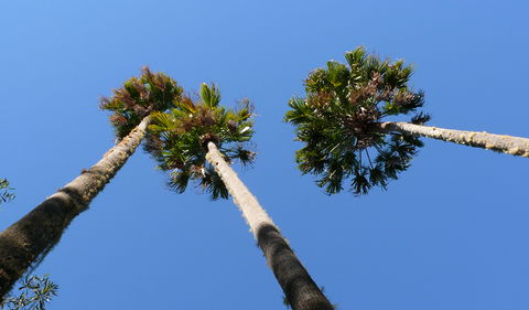 Bindarri National Park - Accommodation Nelson Bay 0