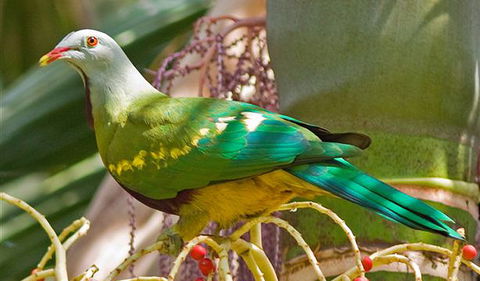 Bindarri National Park - Accommodation Nelson Bay 3