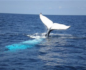 Booderee National Park: Cape St George Lighthouse - Accommodation Nelson Bay 1