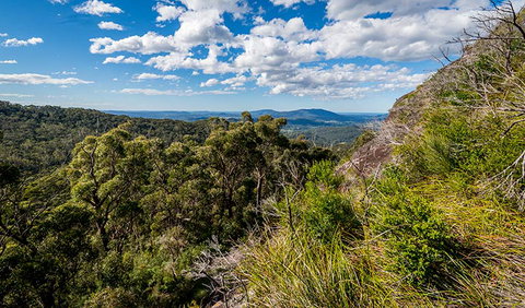 Big Nellie Lookout And Picnic Area - Accommodation Nelson Bay 2