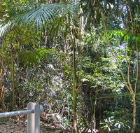 Goorgana walking track - Accommodation Nelson Bay