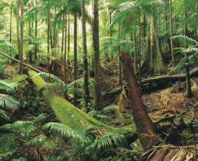 Murwillumbah NSW Accommodation Nelson Bay