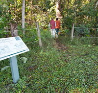 Coramba Nature Reserve - Accommodation Nelson Bay