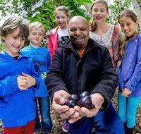 Wigay Aboriginal Culture Park - Accommodation Nelson Bay