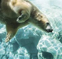 Australia's Sea World - Accommodation Nelson Bay