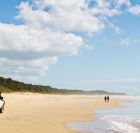 Bongil Bongil National Park - Accommodation Nelson Bay