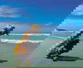 Hallidays Point NSW Accommodation Nelson Bay