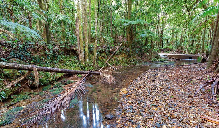 Karangi NSW Nelson Bay Accommodation.com