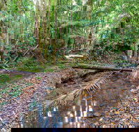 Ulidarra National Park - Accommodation Nelson Bay