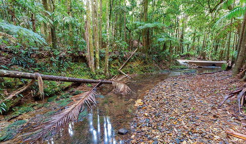 Ulidarra National Park - Nelson Bay Accommodation.com 0