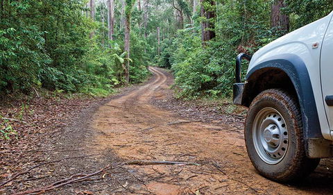 Ulidarra National Park - Nelson Bay Accommodation.com 2
