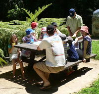 The Pines picnic area - Accommodation Nelson Bay