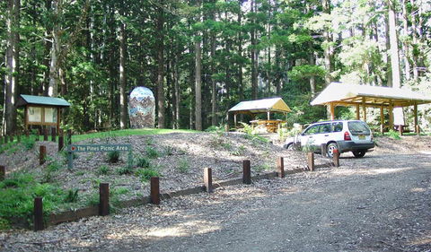 The Pines Picnic Area - Accommodation Nelson Bay 2