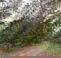 End Peak walking track - Accommodation Nelson Bay
