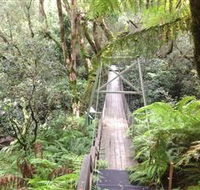 Bemm River Scenic Reserve - Accommodation Nelson Bay
