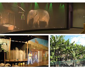 The Big Banana - Nelson Bay Accommodation.com 2