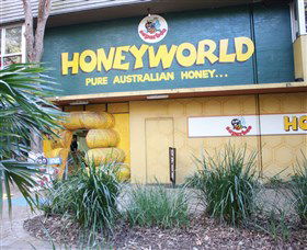 Superbee Honeyworld Gold Coast - Nelson Bay Accommodation.com 0