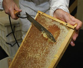 Superbee Honeyworld Gold Coast - Nelson Bay Accommodation.com 2