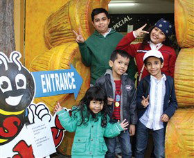 Superbee Honeyworld Gold Coast - Nelson Bay Accommodation.com 3