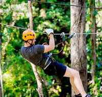 TreeTop Challenge Currumbin - Accommodation Nelson Bay