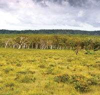Yuraygir National Park - Accommodation Nelson Bay
