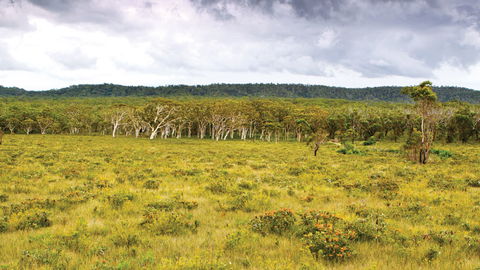 Yuraygir National Park - Accommodation Nelson Bay 0