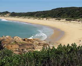Cape Conran Nature Trail - Accommodation Nelson Bay 1